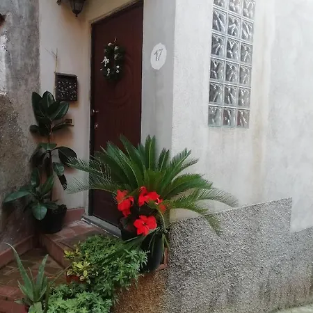 Homestay La Casa In Collina Cortale